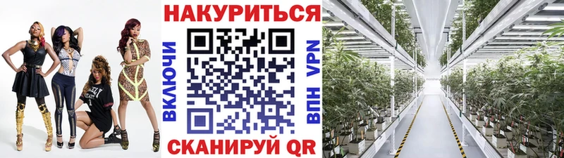 Канабис план  Ужур 